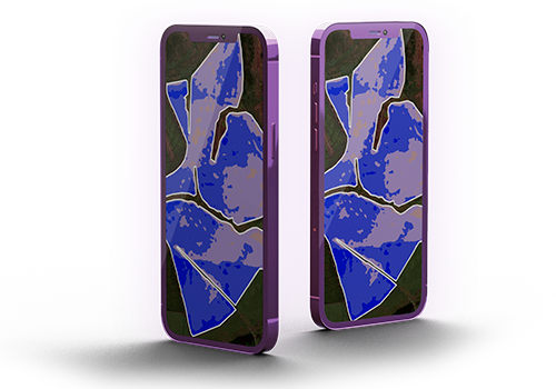 Biblioteca virtual de imágenes e indicadores