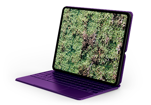 Presión de enfermedades